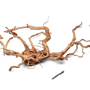 Ancient Wood Showpiece (AW01)