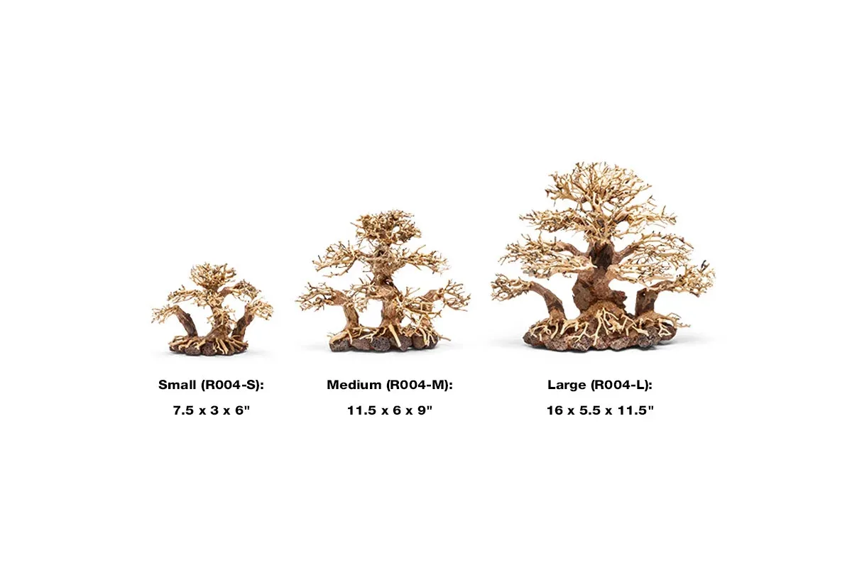 UNS Bonsai 004 - Image 2