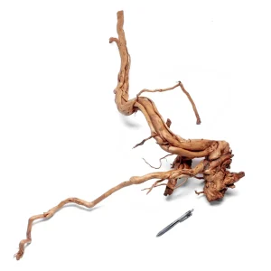 Ancient Wood Showpiece (AW013)