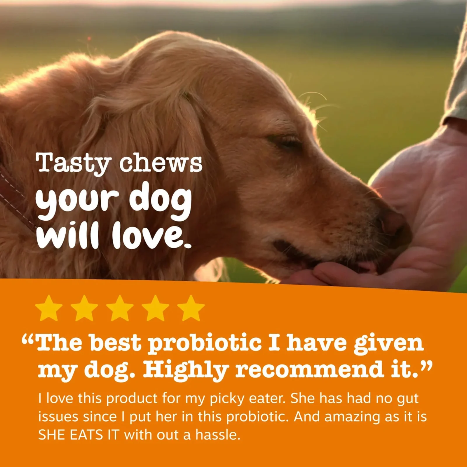 Zesty Paws Probiotic Bites For Dogs - Image 2