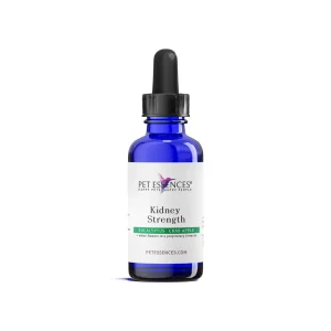 Pet Essences Kidney Strength for Dogs & Cats