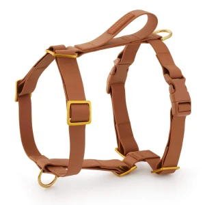 Active Flex Dog Harness - With Handle (M/L), Saddle