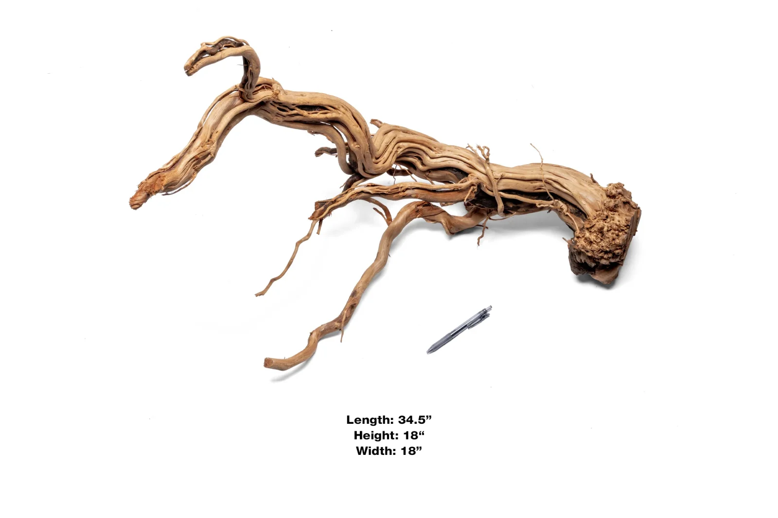 Ancient Wood Showpiece (AW08) - Image 2