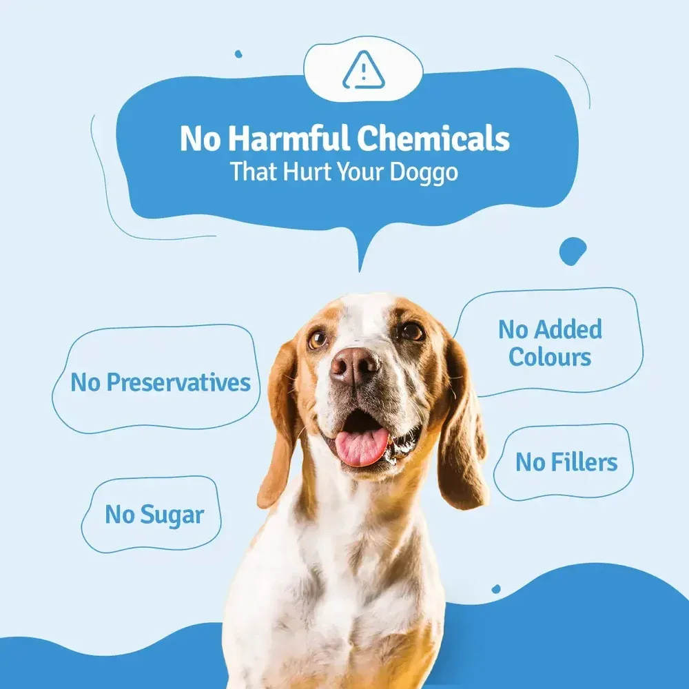 BLEP Fish Beans Pawer Dog Wet Food (300g) - Image 2