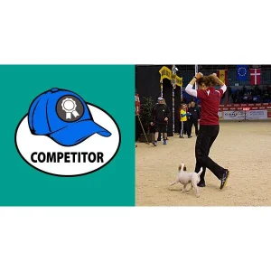 Clean Run The Three Hats of Agility, Part 3: The Competitor's Hat, Being the Competitor You Want to Be