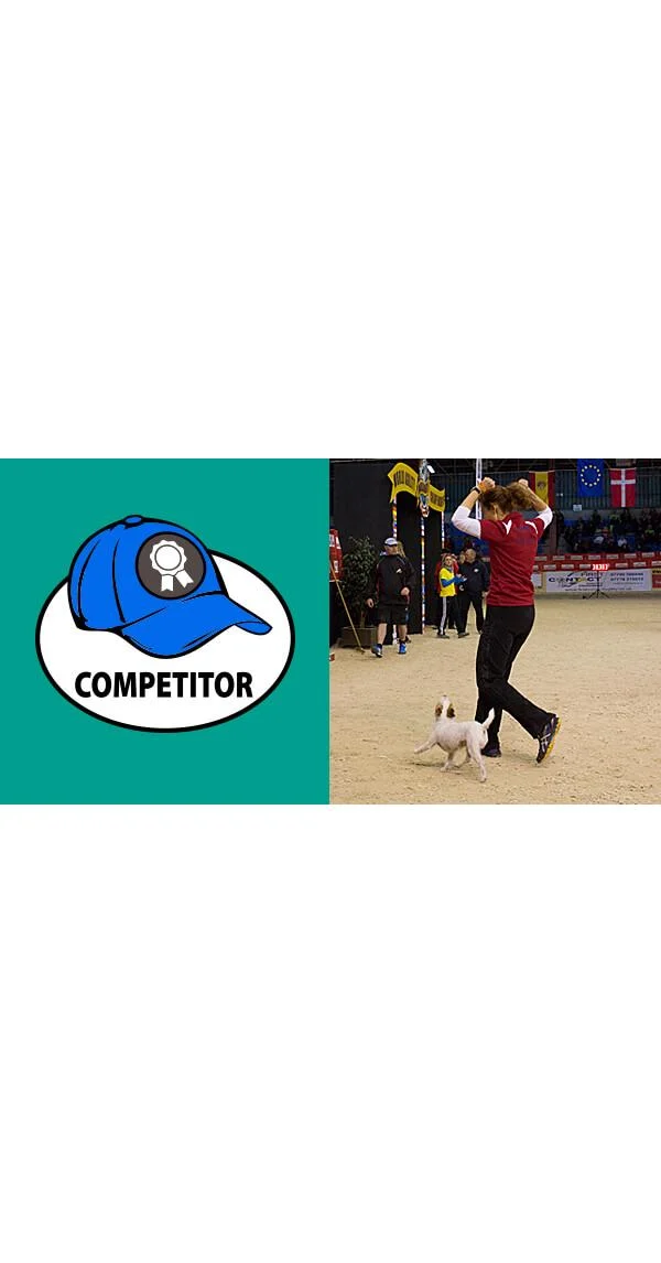 Clean Run The Three Hats of Agility, Part 3: The Competitor's Hat, Being the Competitor You Want to Be