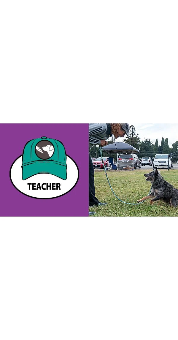 Clean Run The Three Hats of Agility, Part 1: The Teacher's Hat, Dog Training the ACE Way