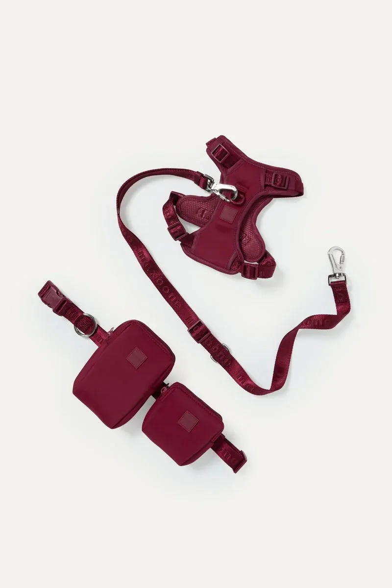 Go! With Ease Leash Bundle - Image 2