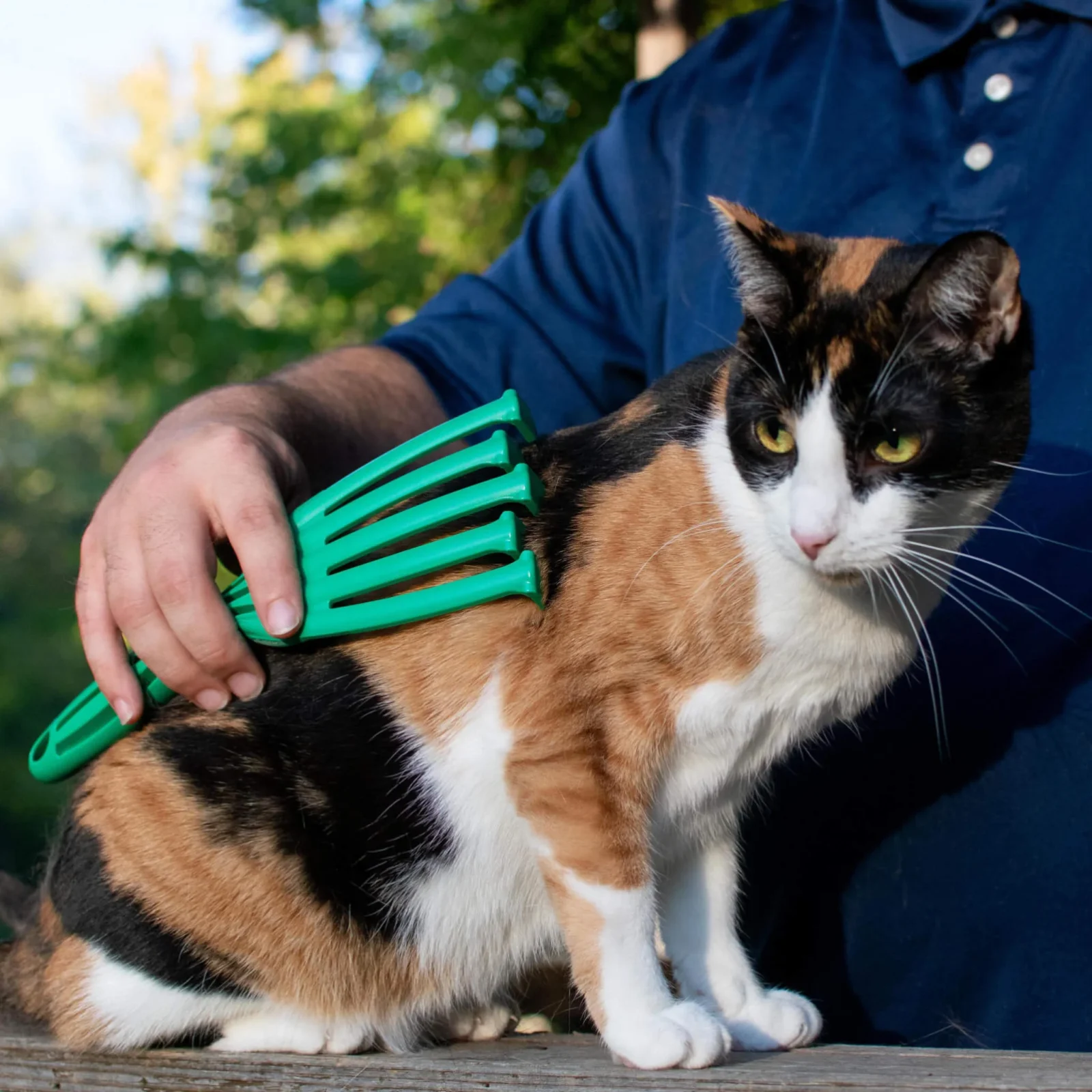 PetKORE GroomRaker Cat Deshedding Tool - Image 2