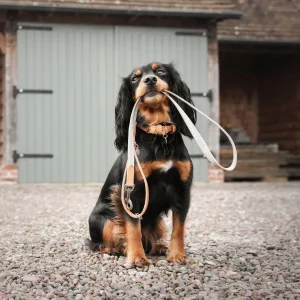 Essentials Twill Dog Lead in Linen by Lords & Labradors