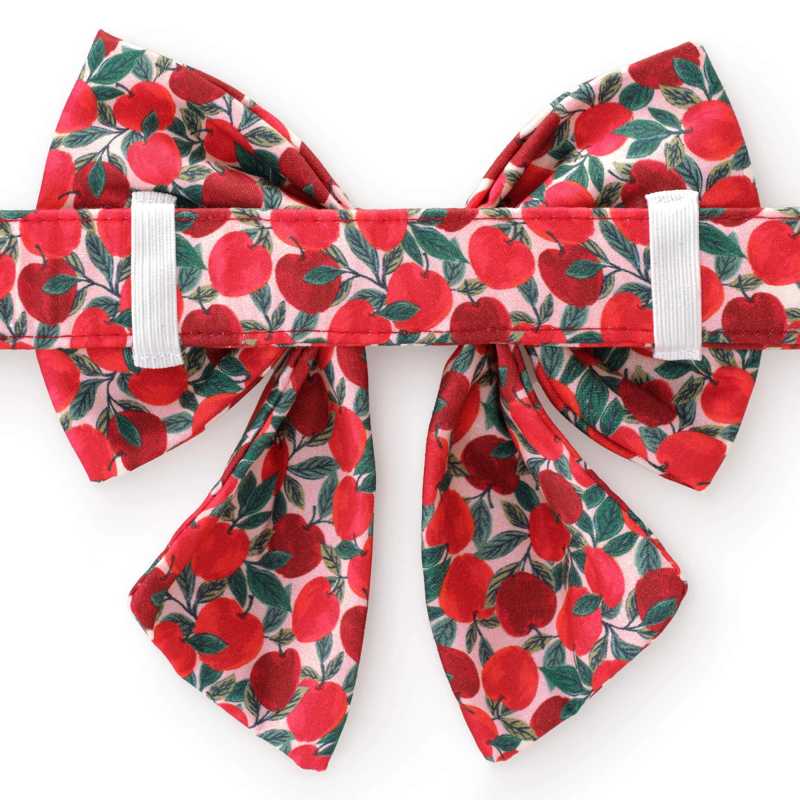 Apple of My Eye Lady Bow Collar - Image 2