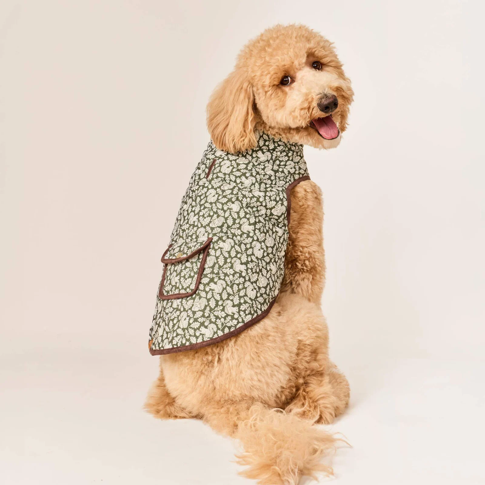 Olive Reversible Dog Jacket - Image 2