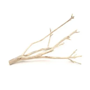 Manzanita Driftwood