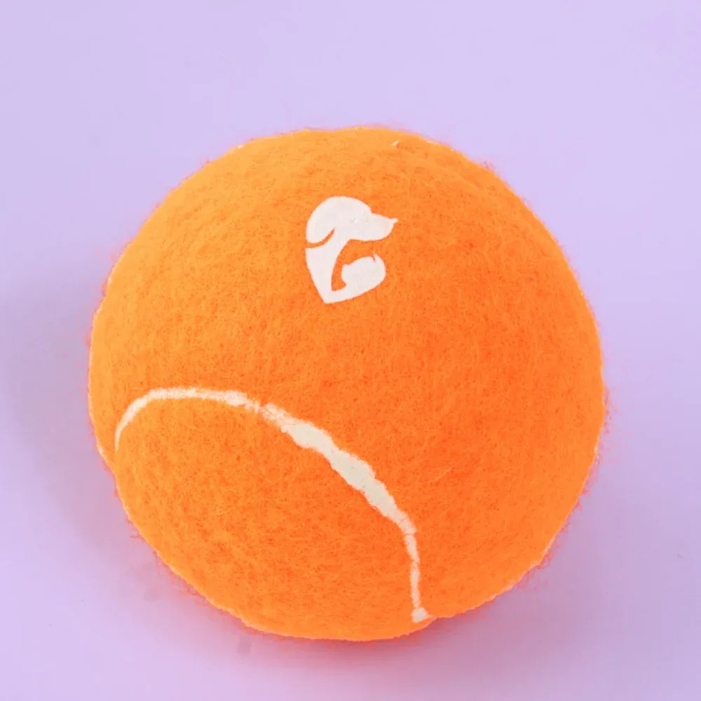 Pet Set Go Squeak Ball Toy for Dogs (Orange)