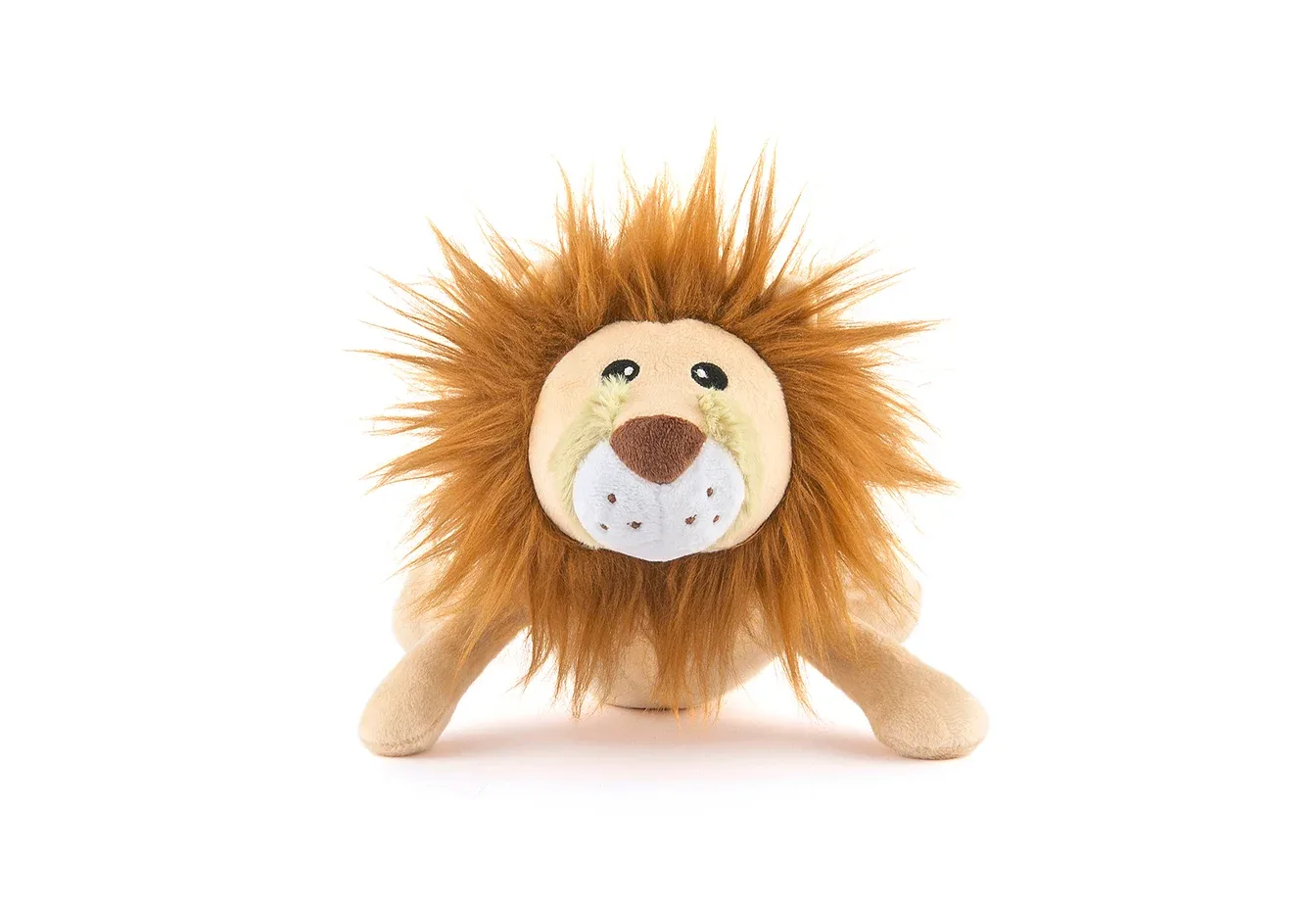 Big Five of Africa Lion