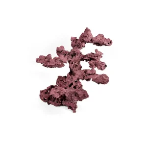 Reef Rock Showpiece (RRS025)