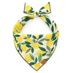 Lemon Zest Dog Bandana