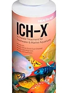 Hikari Ich-X - 4 fl oz