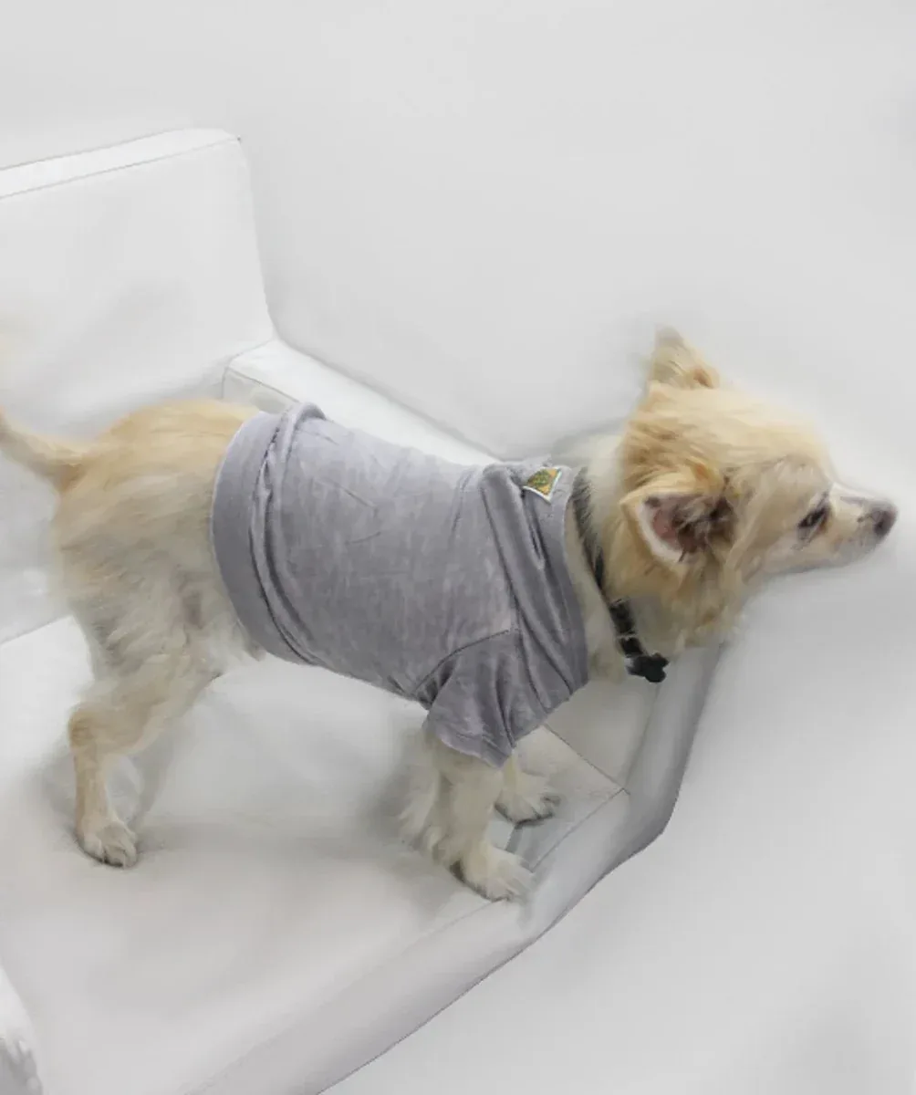 Doggy Hoodie - Burnout Wash Style for Dogs and Cats - Image 2