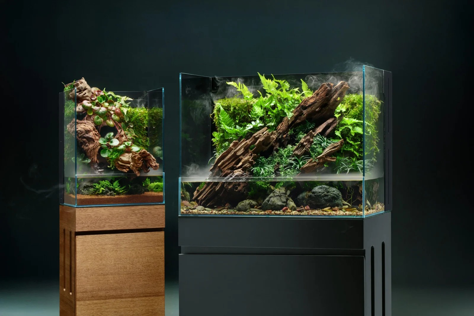 UNS 60E - Foresta Integrated Paludarium V2 - Image 2