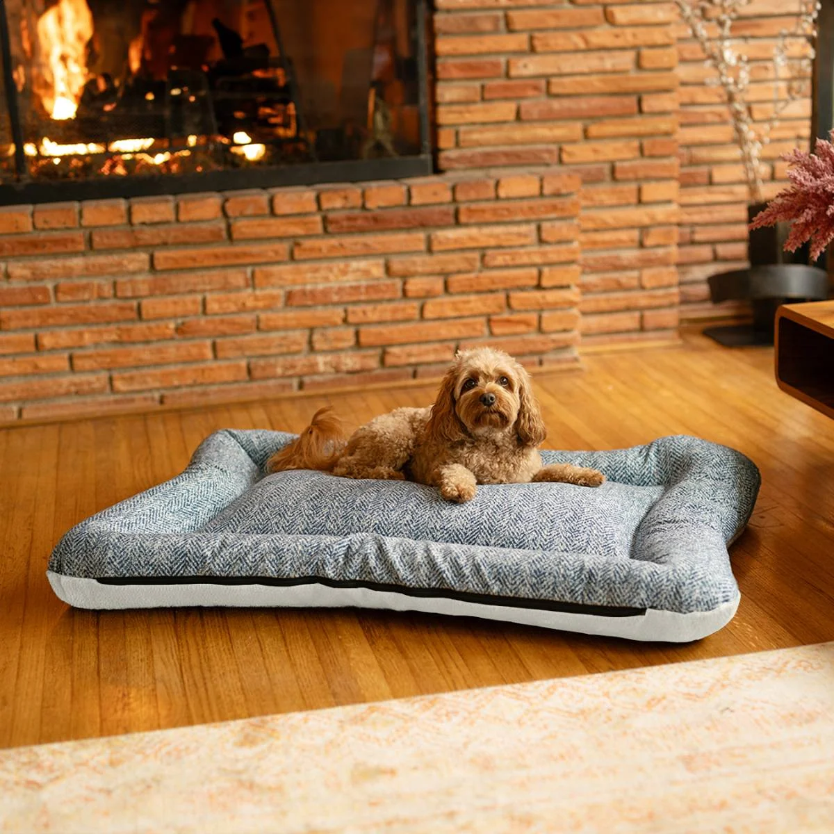 All Day Reversible Dog Bed – Show Dog Collection - Image 2