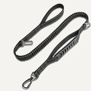 Bungee Leash