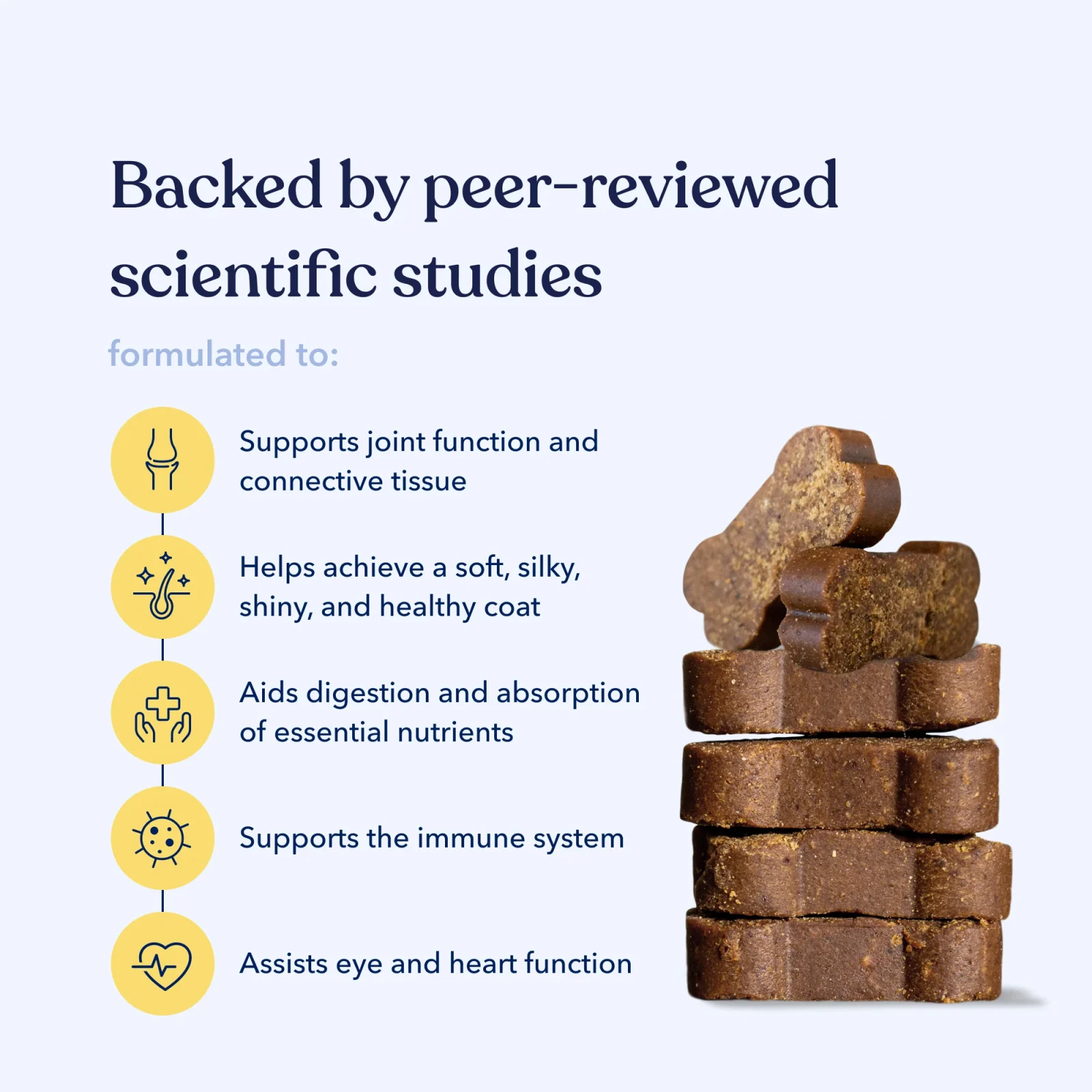 Daily Multivitamin For Dogs - Image 2
