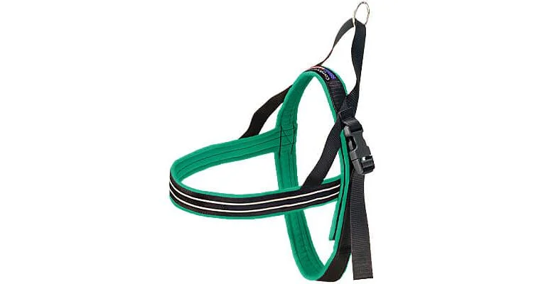 Clean Run ComfortFlex Padded Sport Harness