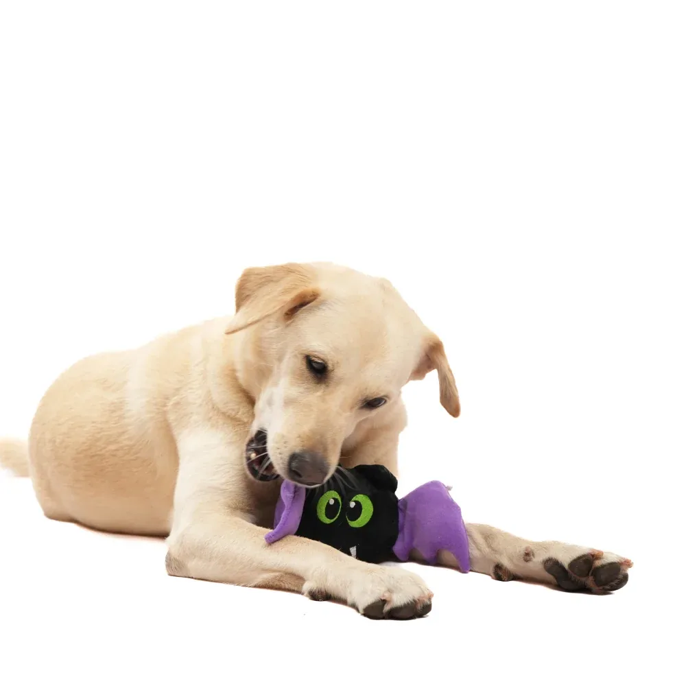 Skatrs Fang tastic Bat Plush Toy for Dogs