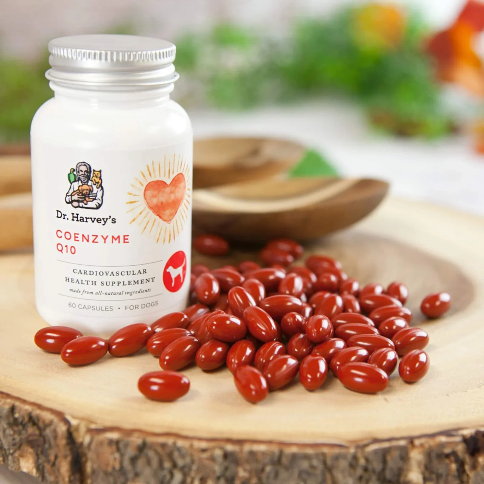Dr. Harvey's Coenzyme Q10 Cardiovascular Health Antioxidant Supplement for Dogs - Image 2