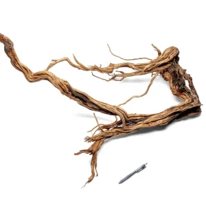 Ancient Wood Showpiece (AW05)