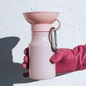 Springer Mini Pink 15oz