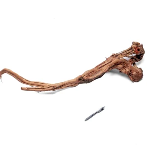 Ancient Wood Showpiece (AW07)