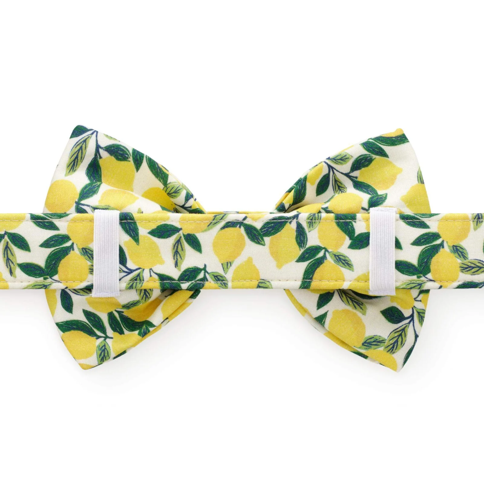 Lemon Zest Dog Bow Tie - Image 2