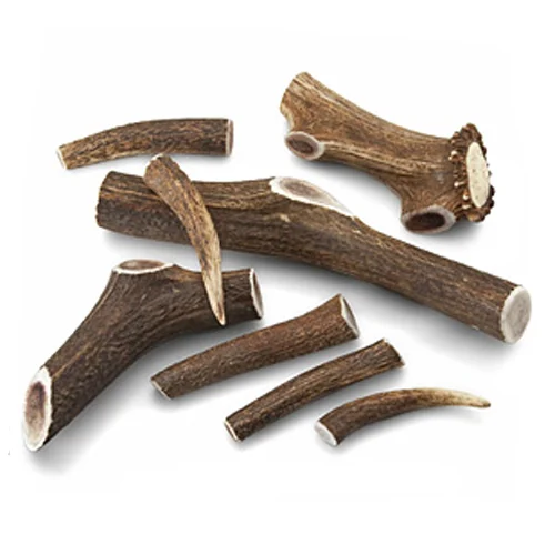 Naturally Shed Organic Maine Moose Antlers - OUT OF STOCK