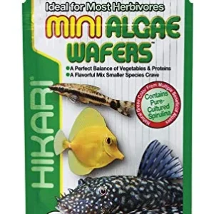Hikari Mini Algae Wafers - 0.77 oz