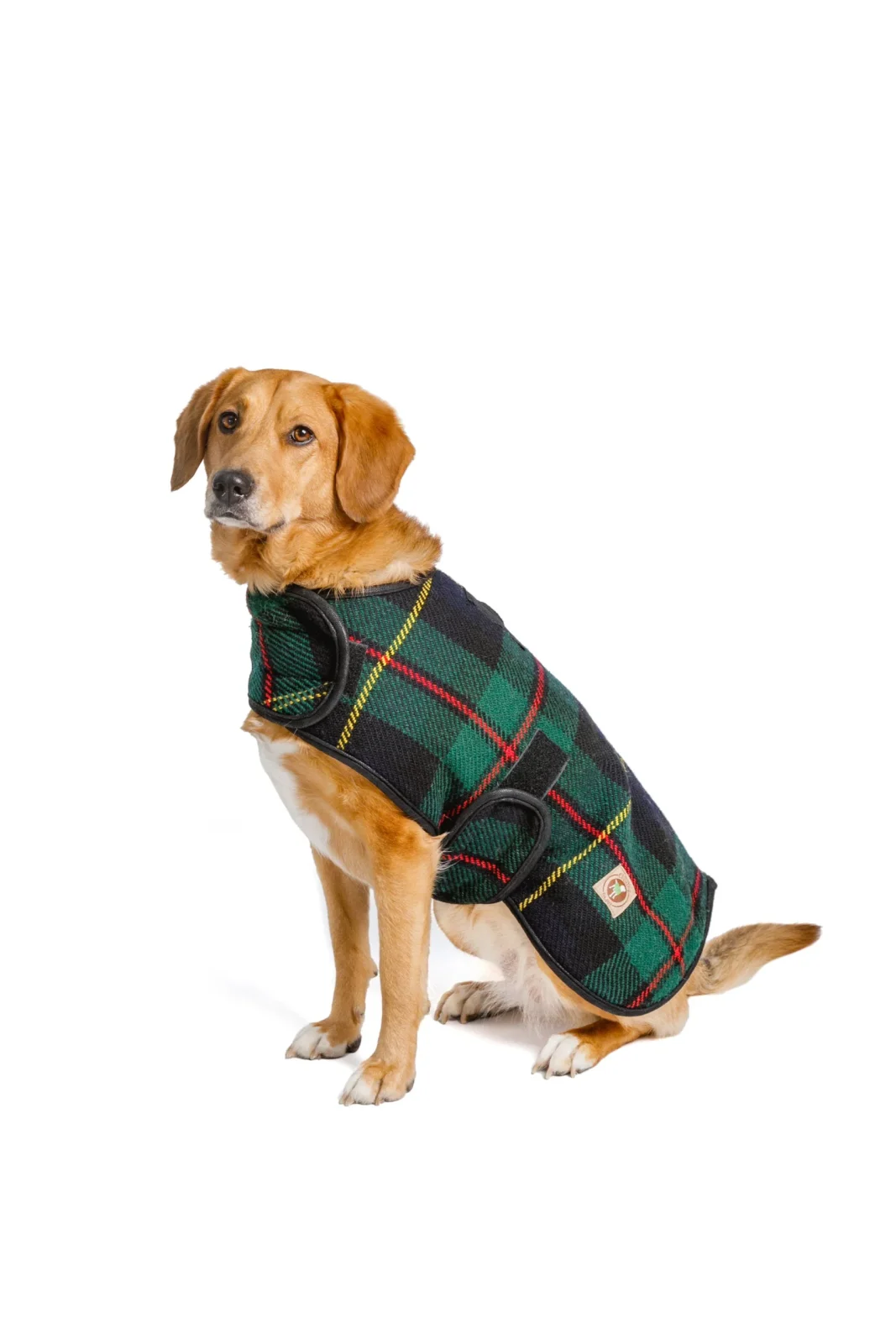 Navy Tartan Plaid Blanket Dog Coat - Image 2