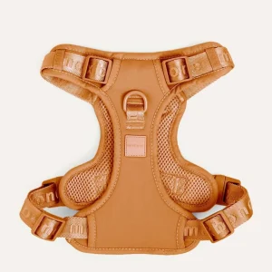 Easy Fit Harness