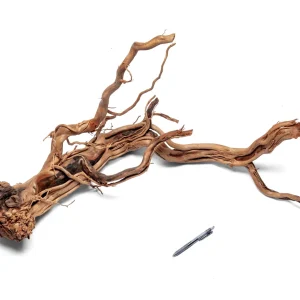 Ancient Wood Showpiece (AW08)