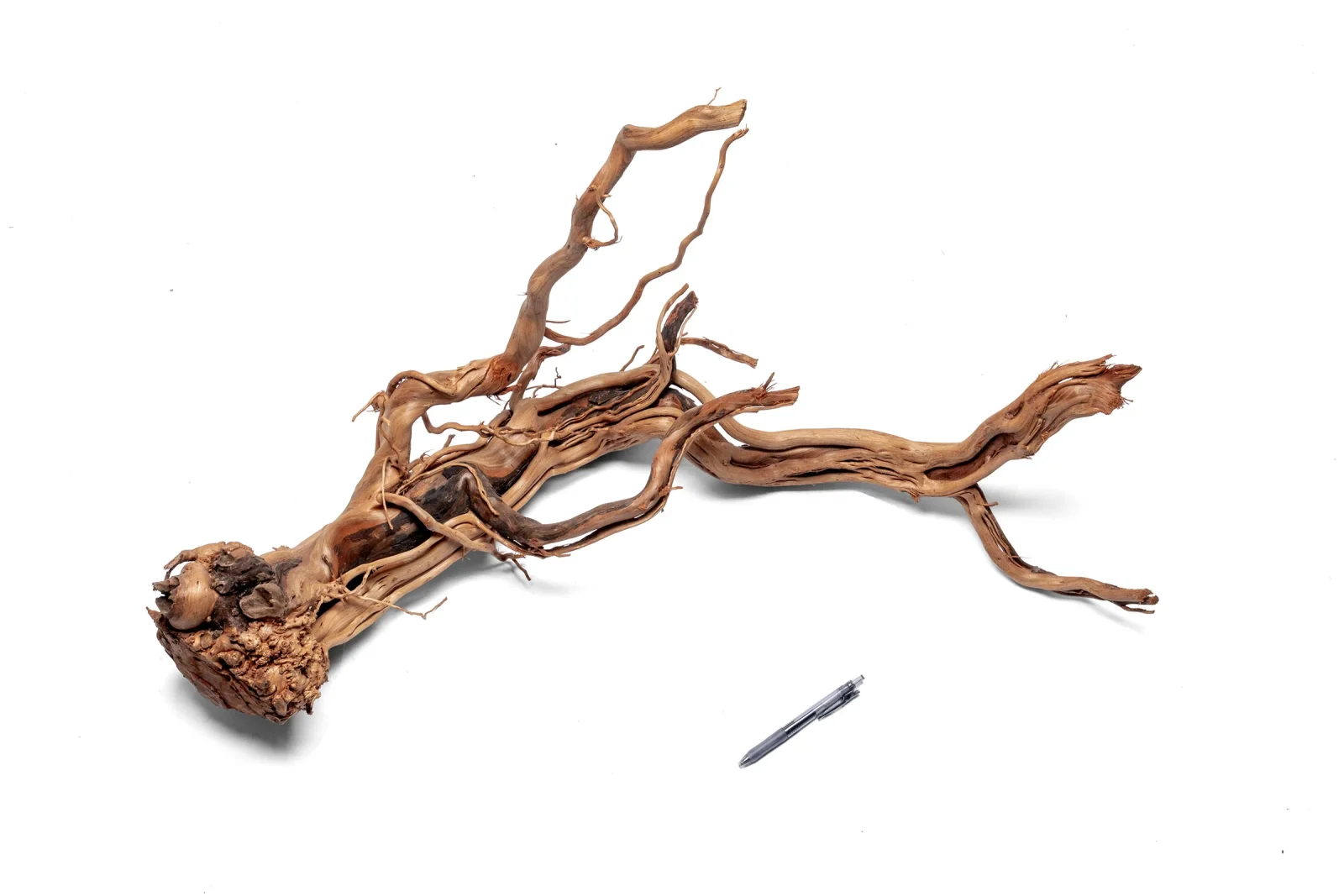 Ancient Wood Showpiece (AW08)