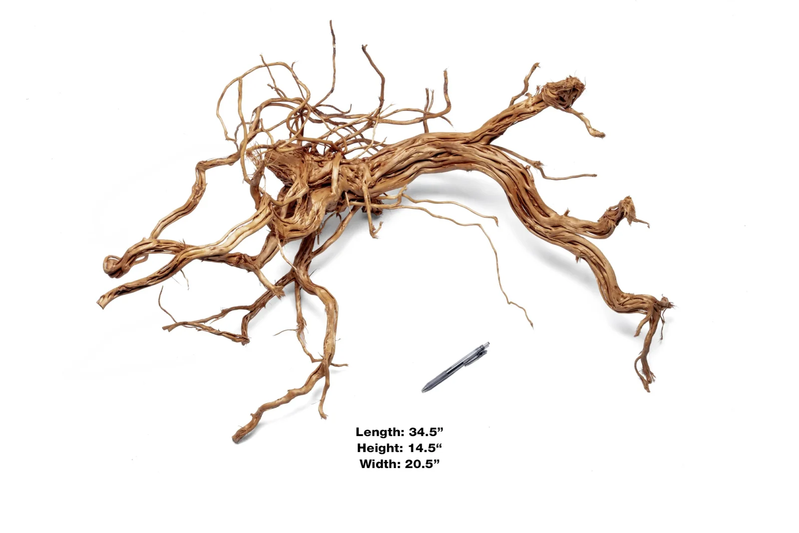 Ancient Wood Showpiece (AW011) - Image 2