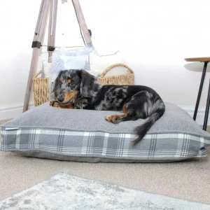 Cushion Covers in Tweed by Lords & Labradors