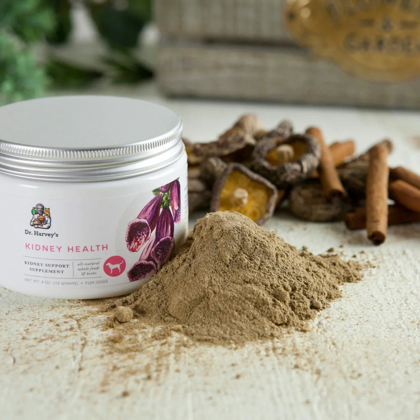 Dr. Harvey's Kidney Health Supplement for Dogs - Image 2