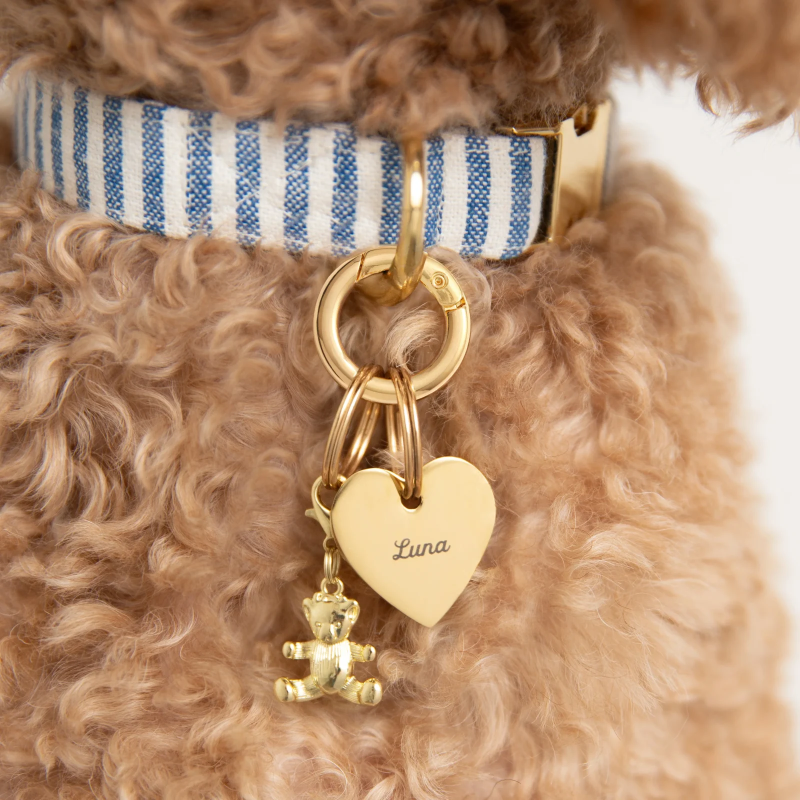 Gold Teddy Bear Collar Charm - Image 2