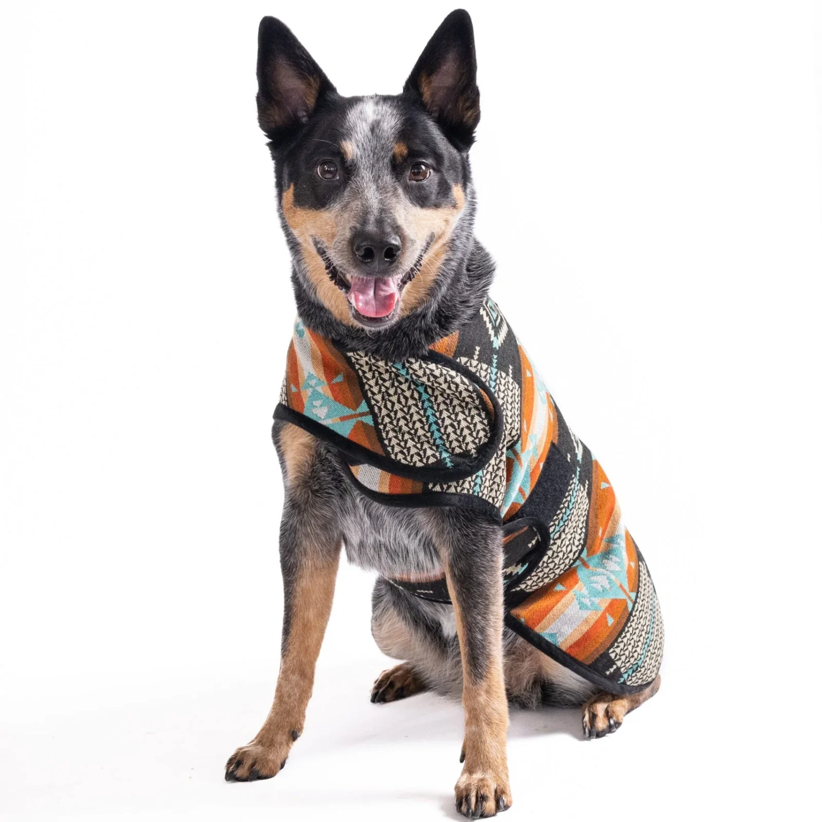 Black Canyon Dog Blanket Coat - Image 2