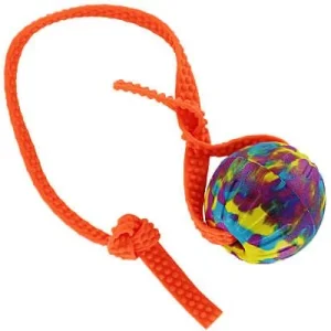 Clean Run Color Splash EVA Foam Ball with Biothane Handle - Large