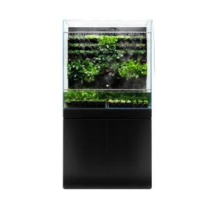 UNS Foresta Plant Holding System - 174