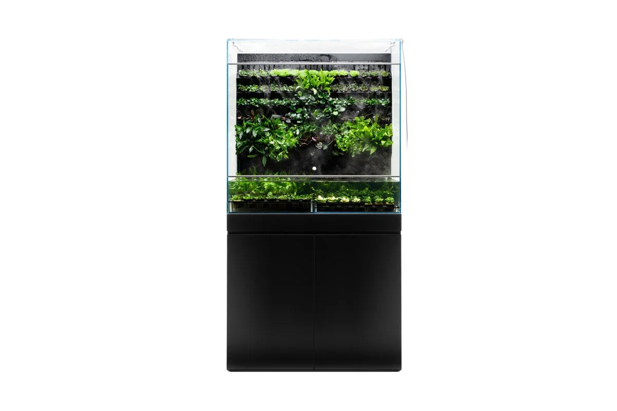 UNS Foresta Plant Holding System - 174