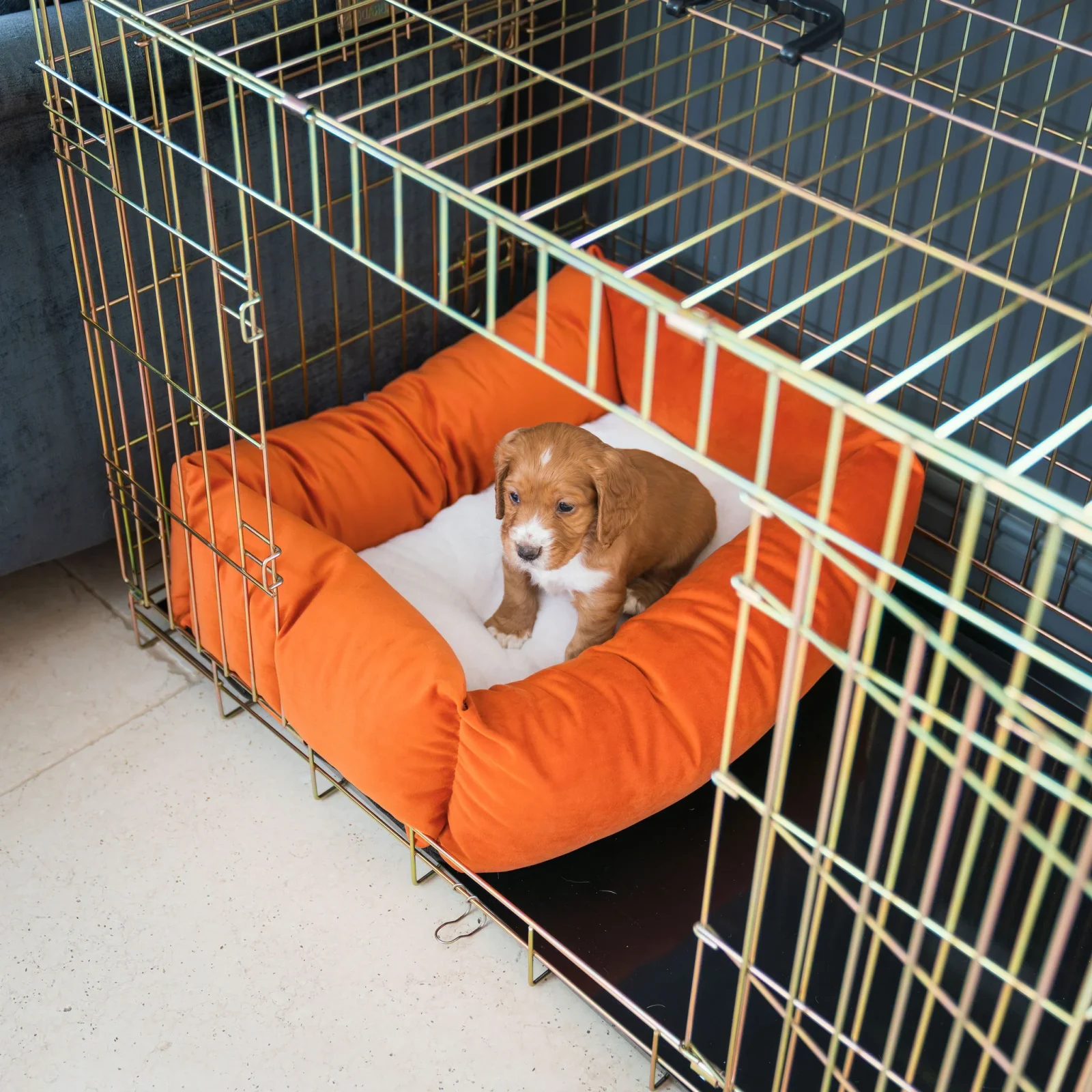 Dog Crate with Cosy & Calming Puppy Crate Bed in Pumpkin Velvet by Lords & Labradors - Image 2