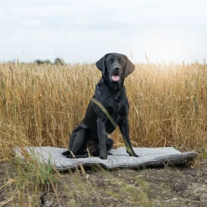 Travel Mat In Inchmurrin Ground by Lords & Labradors